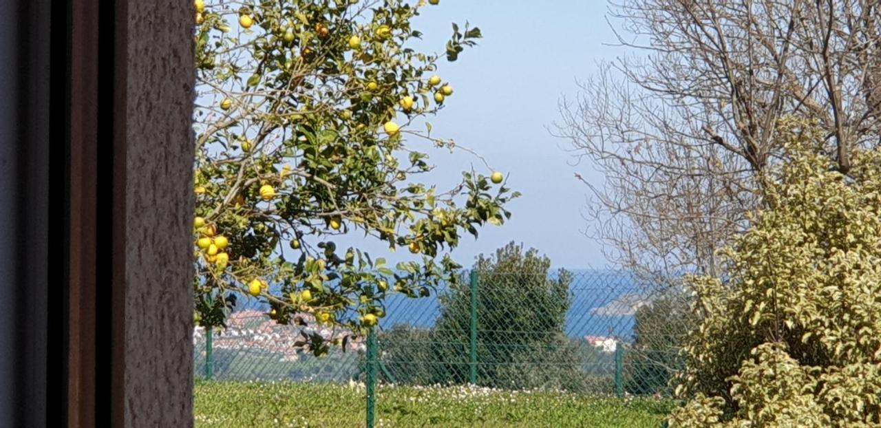 Casa Vacacional Mirador De San Vicente Villa Serdio Dış mekan fotoğraf